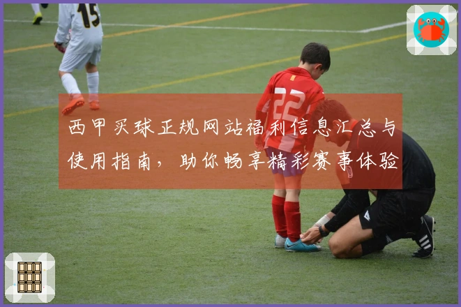 西甲买球正规网站福利信息汇总与使用指南，助你畅享精彩赛事体验