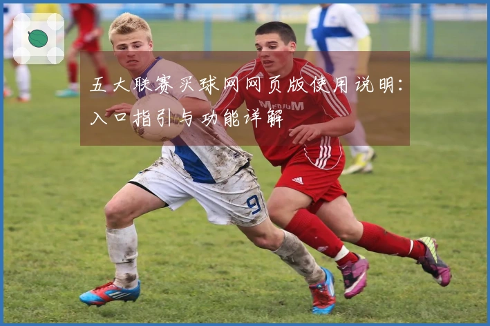 五大联赛买球网网页版使用说明：入口指引与功能详解