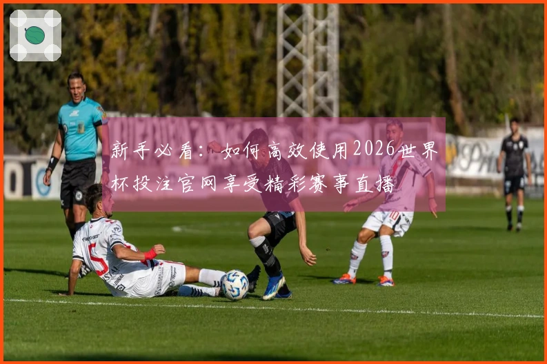 新手必看：如何高效使用2026世界杯投注官网享受精彩赛事直播