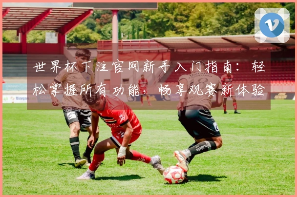 世界杯下注官网新手入门指南：轻松掌握所有功能，畅享观赛新体验