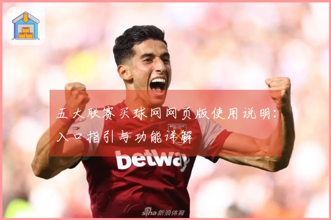 五大联赛买球网网页版使用说明：入口指引与功能详解