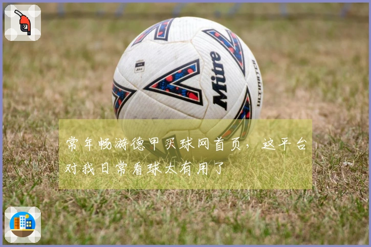 常年畅游德甲买球网首页，这平台对我日常看球太有用了