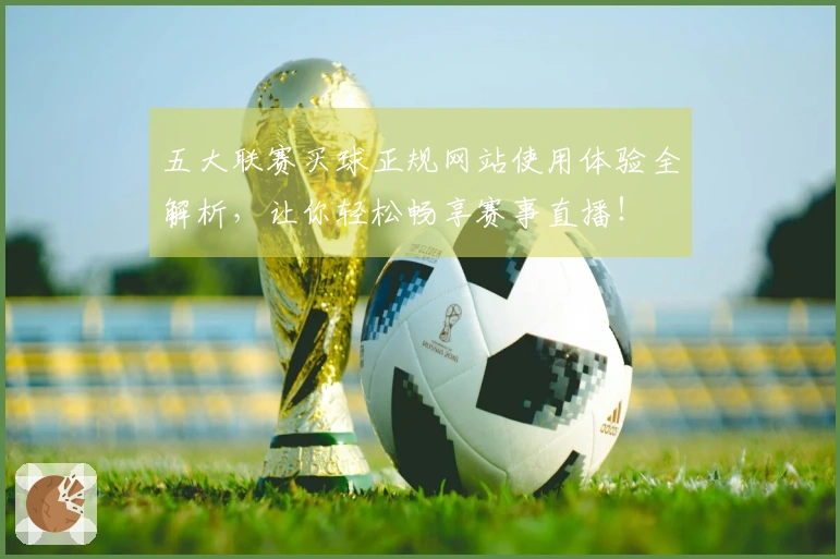 五大联赛买球正规网站使用体验全解析，让你轻松畅享赛事直播！