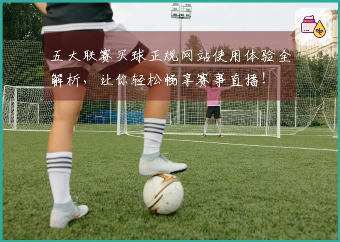 五大联赛买球正规网站使用体验全解析，让你轻松畅享赛事直播！
